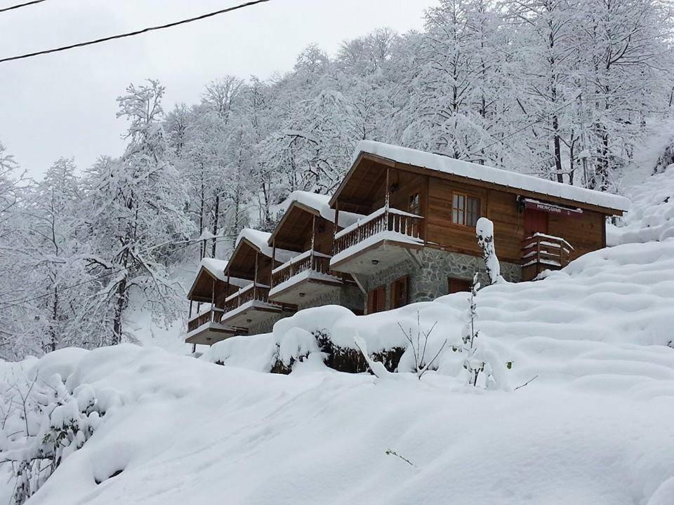 Mencuna Konaklari Arhavi Exterior photo